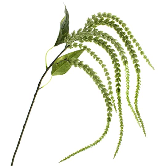 12 Pack: Green Amaranthus Stem by Ashland&#xAE;